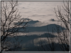 foto Colline Marosticane nella Nebbia